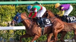 ゴルトマイスター産駒が初勝利 25年新種牡馬一番乗り