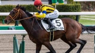 昨年の青葉賞3着馬 約1年ぶりの復帰戦で勝利なるか