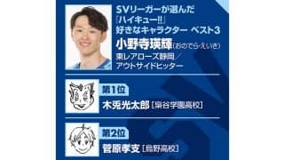 【ハイキュー‼×SVリーグ】東レ静岡の小野寺瑛輝が振り返る東日本大震災　「バレーの力」と白鳥沢学園のモデルになった東北高校時代の思い出