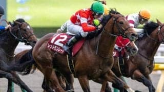 京王杯SCの23年覇者 レース史上2頭目の2勝目なるか