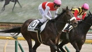 2.2億円馬が3連勝狙う 府中S制しオープン入りなるか