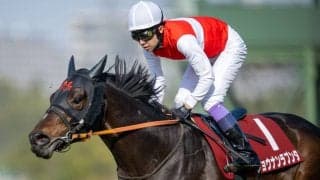 【武豊日記】人馬が無事に帰ってくることの大事さ