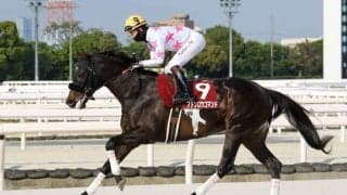 【兵庫CS】松山「理想通りの展開」マテンロウコマンドが4連勝