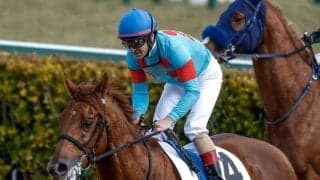 【ユニコーンS枠順確定】クレーキングは6枠8番、メイショウズイウンは4枠5番