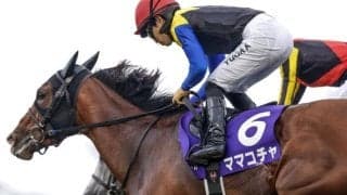 【京王杯SC枠順確定】ママコチャは3枠3番、ロジリオンは4枠4番