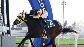 新種牡馬ゴルトマイスター産駒が初V 小野楓馬騎手「スタートが上手な馬」