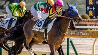 GI覇者の全妹がオークス切符獲得なるか スイートピーSで無傷の2連勝狙う