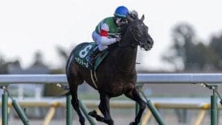 【天皇賞・春】ヘデントールは490kg…出走馬調教後の馬体重