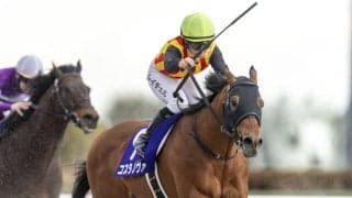 【かしわ記念】コスタノヴァなどJRA馬は6頭選定