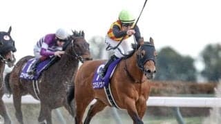 【船橋・かしわ記念枠順】フェブラリーS覇者コスタノヴァは7枠7番、連覇狙うシャマルは5枠5番