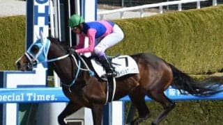 【ユニコーンS予想】今後のダート路線の主役を決める一戦!? 前走中山組が苦戦している最大の要因とは