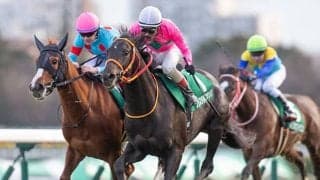 20年京成杯を制したクリスタルブラックが登録抹消 今後は乗馬に