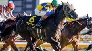 【京王杯SC予想】前走高松宮記念組には要注意！ 前走GIII組は着順や初角の位置取りが好走の鍵