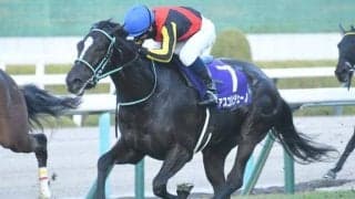 【ヴィクトリアM想定馬・騎手】アスコリピチェーノ、ステレンボッシュなど24頭