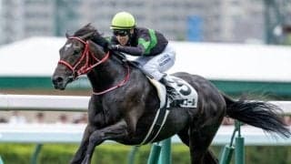 【京都新聞杯想定馬・騎手】キングスコール、エムズなど11頭