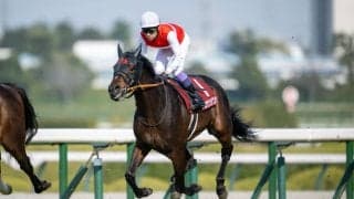 歴代最多8勝！天皇賞・春はショウナンラプンタとのコンビ…武豊騎手騎乗馬