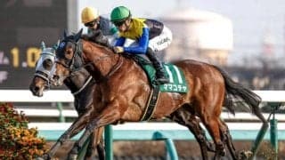 【京王杯SC予想】安田記念への切符をかけた戦い 速い馬場への対応力＆瞬発力が求められるコース