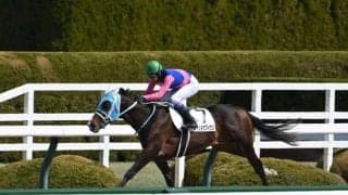 【ユニコーンS予想】東京ダービーにつながる出世レース 未来のダート王目指す3歳馬が集う