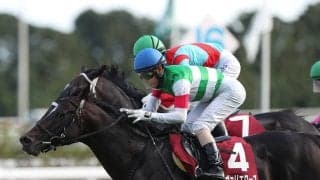 【競馬予想】大波乱もある天皇賞・春は穴党の出番　人気落ち実力馬２頭が高配当を演出か