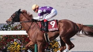 天皇賞・春で確認すべきは「長距離」に強い血　レイデオロ、ディープインパクト産駒から２頭をチョイス