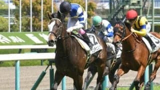 京王杯SCは外枠の差し馬に注 穴ならカンチェンジュンガ