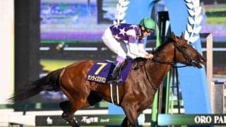 【名古屋グランプリ枠順】重賞3勝目を狙うサンライズジパングは5枠5番、連覇がかかるノットゥルノは7枠10番