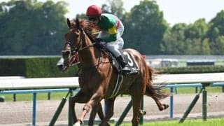 【矢車賞結果】タガノアビーが最後方からの直線一気V