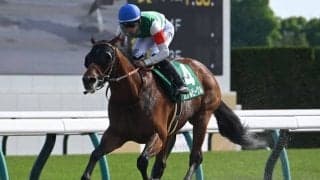 【ユニコーンS結果】カナルビーグルが抜け出し2連勝 今年開業の佐藤悠太師は重賞初出走でV