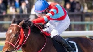 【ブリリアントS】レヴォントゥレットが5連勝なるか 母は重賞2勝馬クイーンマンボ