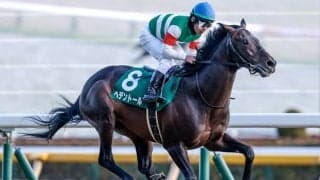 【天皇賞(春)前日オッズ】ヘデントールが2.9倍で1番人気