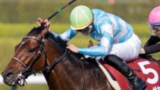 天皇賞(春)は高速決着必至 内で脚をためるブローザホーンに注目