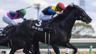 【プリンシパルS】金子真人オーナーの「史上最高価格」3億円馬ジェゼロ Ｍ.ディー騎手と初タッグ