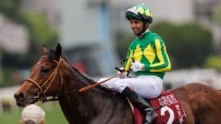 サトノレーヴがイギリスに到着…クイーンエリザベス2世ジュビリーステークス出走予定