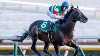 【今日の注目ポイント】古馬の長距離王者決定戦・天皇賞(春)