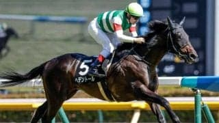 【天皇賞(春)予想】古馬最高の栄誉をかけ有力ステイヤー集結 2度の坂越えがレースのキモ