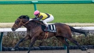 【ケンタッキーダービー結果】ルクソールカフェ12着、アドマイヤデイトナ19着 ソヴリンティがV