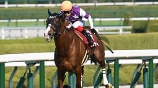 【天皇賞(春)予想】人気薄でも食い込めるタイプは？ 過去10年データから探るGI「天皇賞(春)」