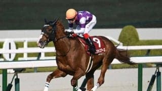 京都芝は高速馬場 天皇賞(春)は内-中枠ベターか