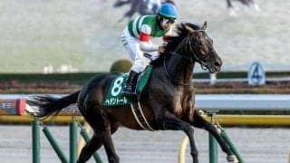 【天皇賞(春)・馬体重】ヘデントールは478kg(-4)、サンライズアースは530kg(+4)