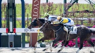 【京都2R】武豊スコーピオンイメルが人気に応える