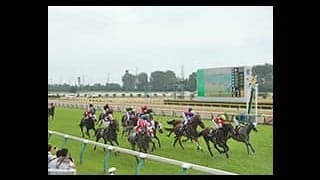 【越後S結果】ブシンが人気に応えて差し切り2連勝