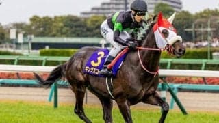 【京都新聞杯】キングスコール、エムズらが登録