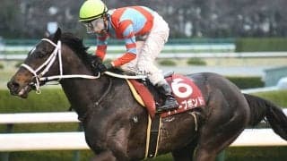 中1週でGI挑戦→中2週で重賞初制覇 ディープボンドのタフなローテから5年