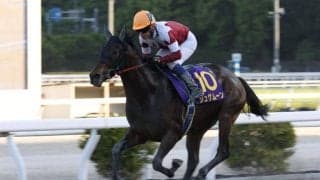 【高知・黒潮皐月賞】ジュゲムーンが5馬身差の完勝！高知クラシック三冠へ第一歩