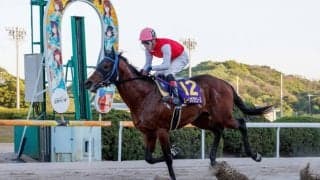 【佐賀皐月賞】“完全勝利”ムーンオブザエースが佐賀クラシック一冠！川島拓「理想通りだった」