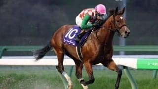 【盛岡・ダイヤモンドカップ】シーソーゲームが4馬身差完勝…矢野貴「思った通りの競馬」