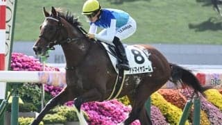 【NHKマイルC見どころ】GI・2勝目を狙うアドマイヤズーム