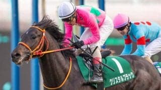 【先週のJRA抹消馬】20年京成杯の勝ち馬クリスタルブラック、芝短距離路線で活躍したエイシンスポッターなど