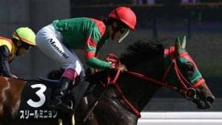 【NHKマイルC出走馬決定順】フルゲート18頭に対し22頭が登録 スリールミニョンなどが除外対象