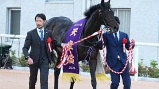 成長力とスタミナ見せたヘデントール その背景には母父ステイゴールドの存在